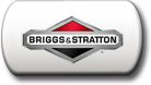 boutonbriggdandstratton